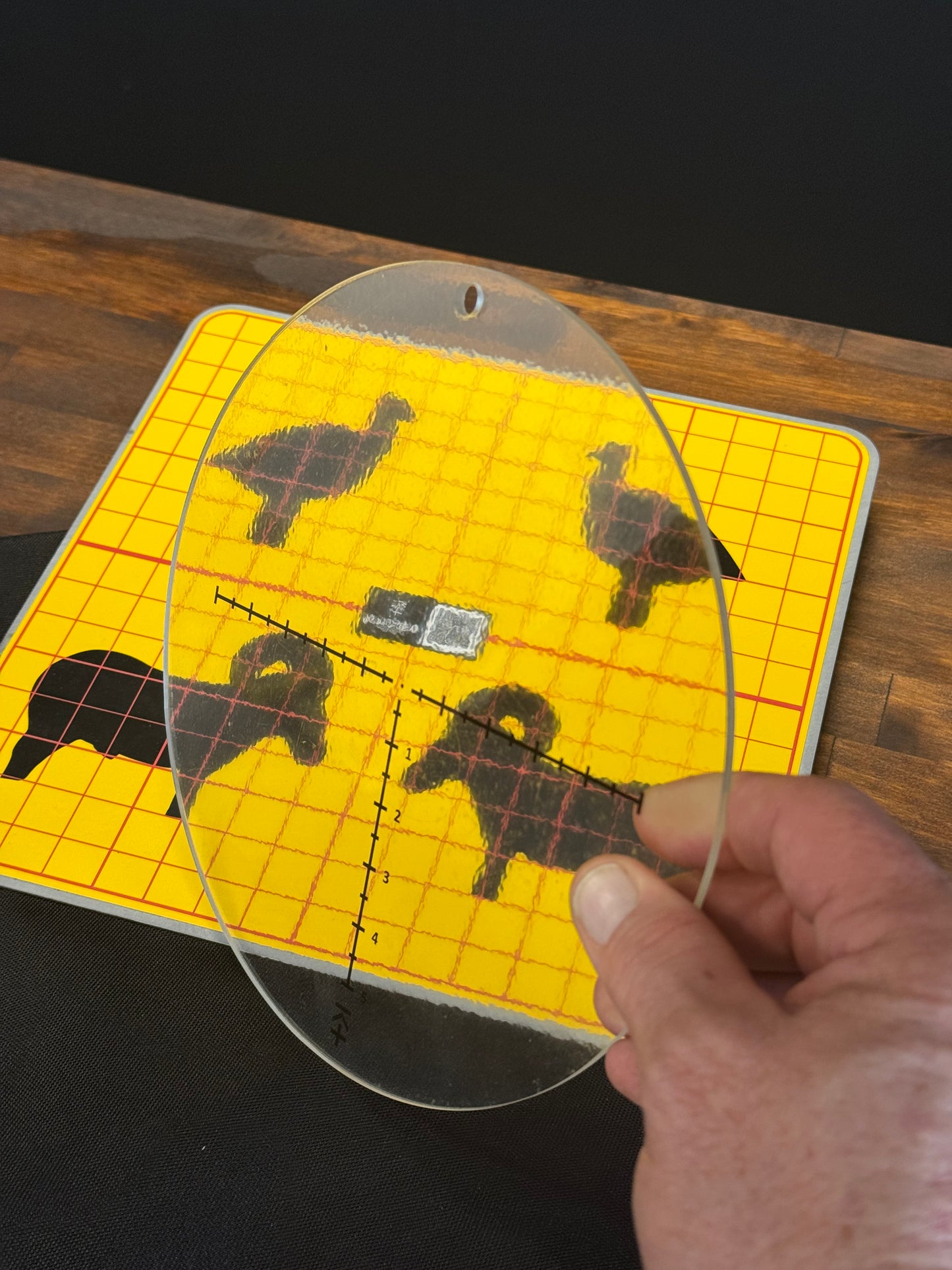 TRAINING RETICLE ACRYLIC DISC